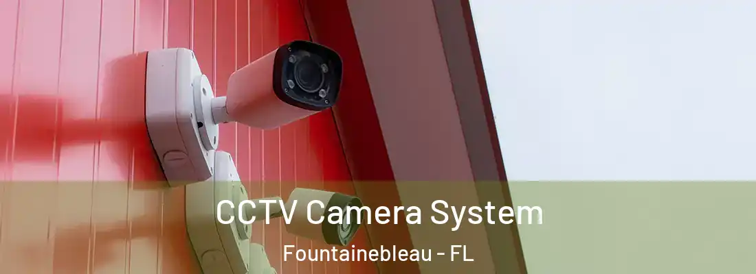 CCTV Camera System Fountainebleau - FL