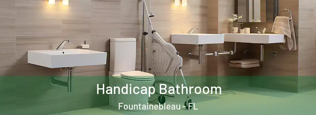  Handicap Bathroom Fountainebleau - FL