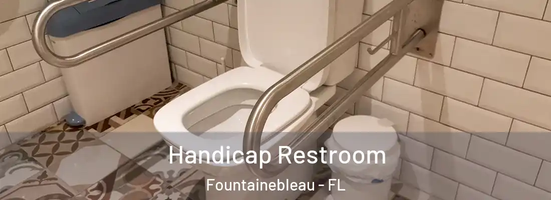  Handicap Restroom Fountainebleau - FL