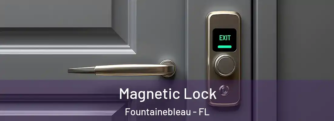  Magnetic Lock Fountainebleau - FL