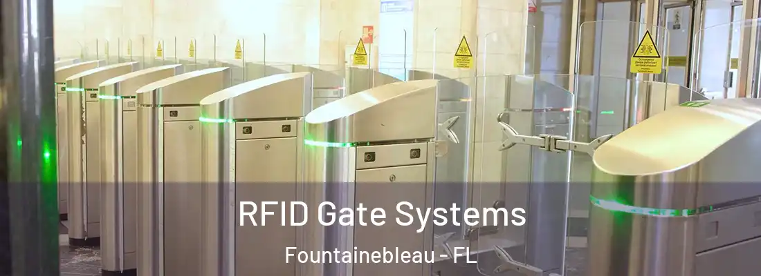  RFID Gate Systems Fountainebleau - FL